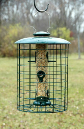 Caged 6 Port Seed Tube Bird Feeder