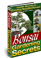 Bonsai Gardening Secrets