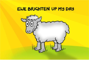 Ewe Brighten Up My Day
