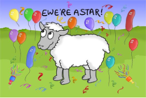 Ewe'Re A Star
