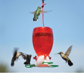 Big Red Hummingbird Feeder