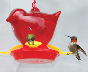 Red Bird Hummingbird Feeder