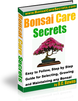 Bonsai Tree Care Secrets