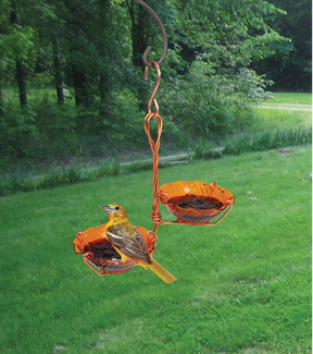 Copper Oriole Jelly Feeder Double Cup