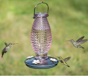 Color Varieties - Hummingbird Feeder