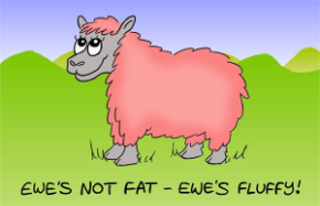 Ewes Not Fat Ewes Fluffy