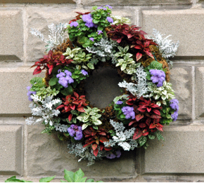Living Wreath Forms