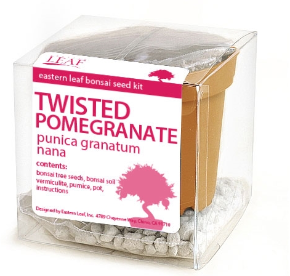 Twisted Pomegranate Bonsai Seed Kit