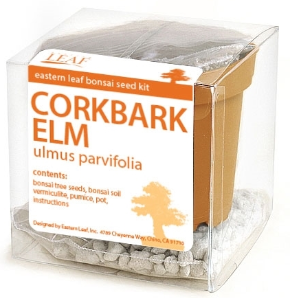 Corkbark Elm Bonsai Seed Kit