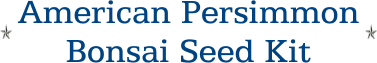 American Persimmon Bonsai Seed Kit