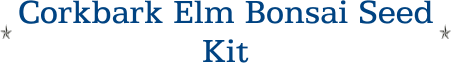 Corkbark Elm Bonsai Seed Kit