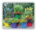 Colorful Trug, Garden Plant Pails